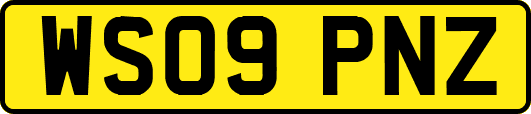 WS09PNZ