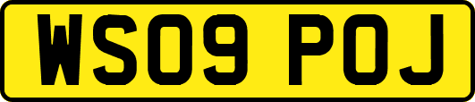 WS09POJ