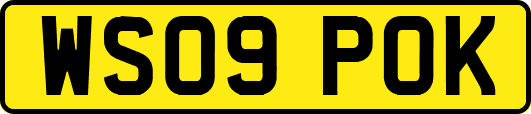 WS09POK