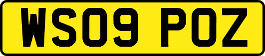 WS09POZ