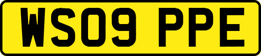 WS09PPE