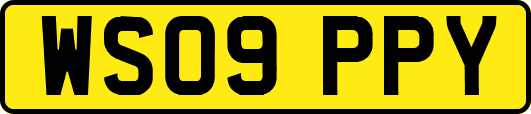 WS09PPY