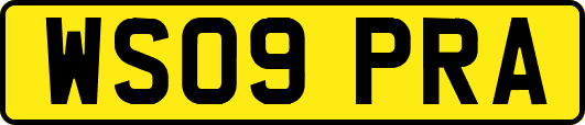 WS09PRA