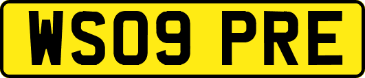 WS09PRE