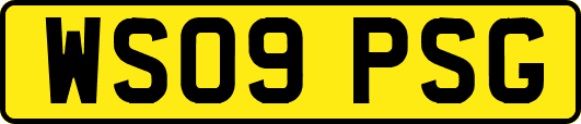 WS09PSG