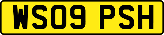 WS09PSH