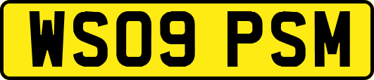 WS09PSM