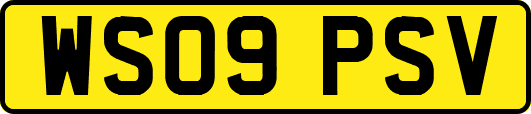 WS09PSV