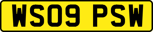 WS09PSW