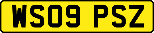 WS09PSZ