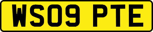 WS09PTE