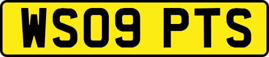 WS09PTS