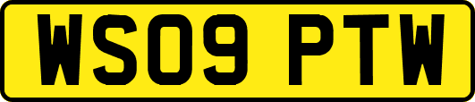 WS09PTW