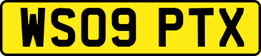 WS09PTX