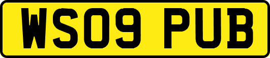WS09PUB