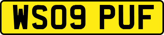 WS09PUF