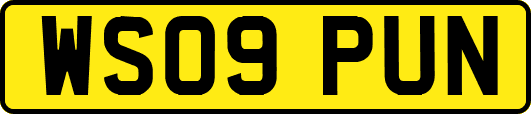 WS09PUN
