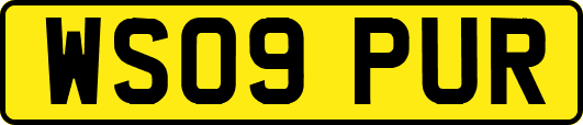 WS09PUR