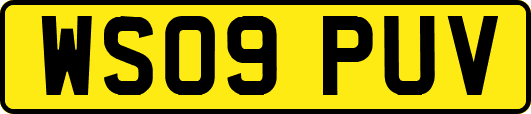 WS09PUV