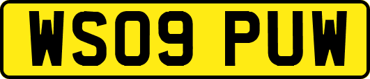 WS09PUW