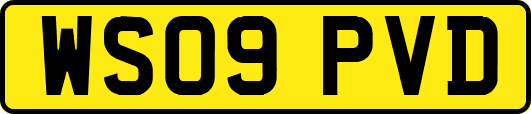 WS09PVD