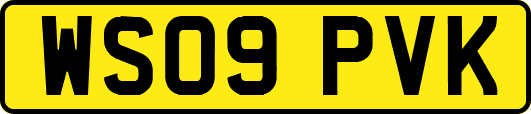 WS09PVK