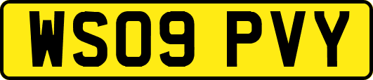 WS09PVY