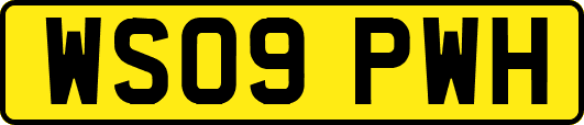 WS09PWH