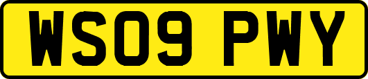WS09PWY