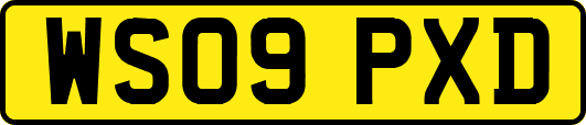 WS09PXD