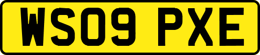 WS09PXE