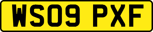 WS09PXF