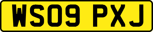 WS09PXJ
