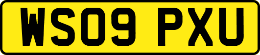 WS09PXU