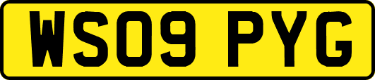 WS09PYG