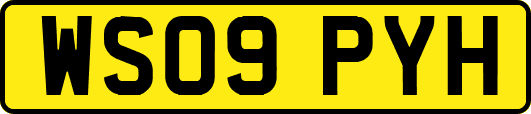 WS09PYH