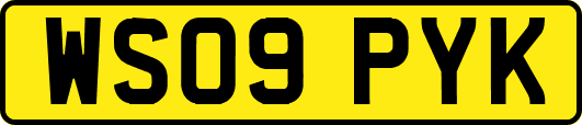 WS09PYK