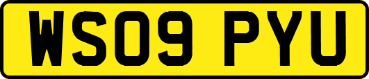WS09PYU