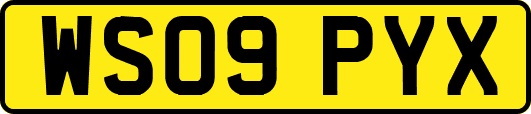 WS09PYX