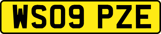 WS09PZE