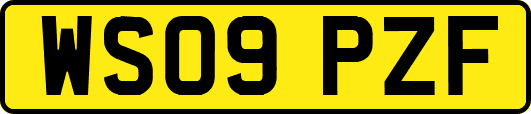 WS09PZF