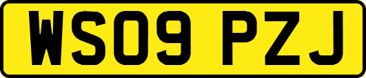WS09PZJ
