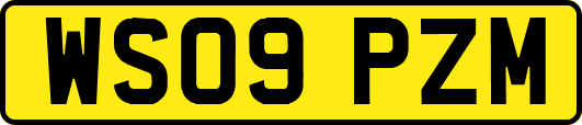 WS09PZM