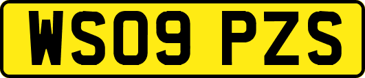 WS09PZS