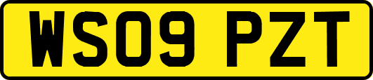 WS09PZT