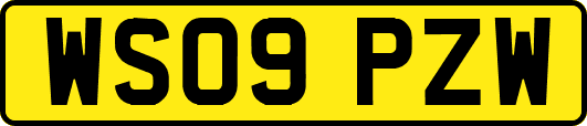 WS09PZW