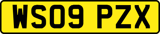 WS09PZX