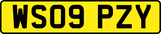 WS09PZY