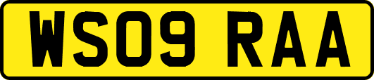 WS09RAA