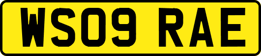WS09RAE